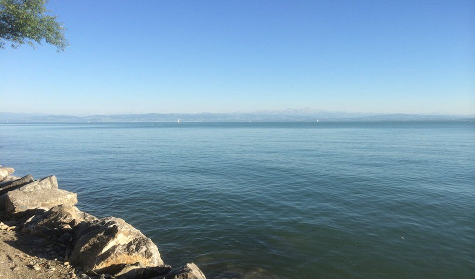 Bodensee mit Blick auf den Säntis