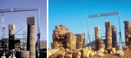 Crane-Project from African Desert